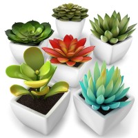 Artificial Succulent Assorted Decorative Faux Succulent Plants with White Ceramic Pots -Pack of 6