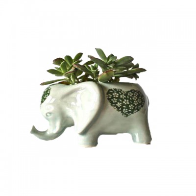 Ceramic funny small unique elephant planter for succulent